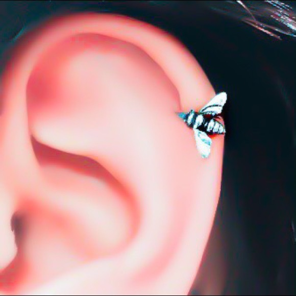 925 Sterling Silver Honey Bee Cartilage Helix Tragus Rook Conch Hoop Earring - Picture 4 of 9